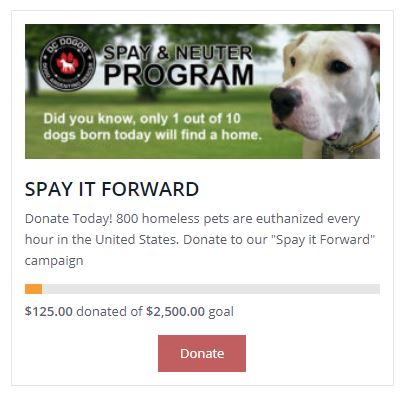 spay it forward